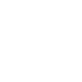 MG Logo