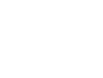 Subaru Logo